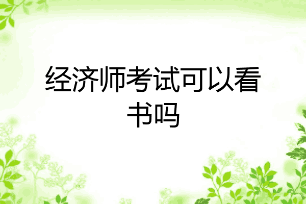 经济师考试可以看书吗