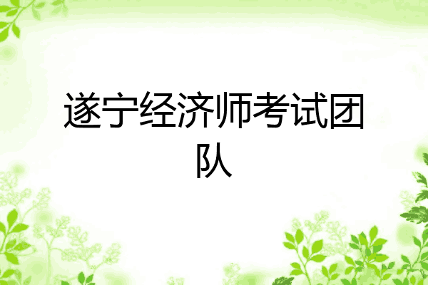 遂宁经济师考试团队