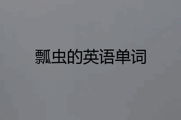瓢虫的英语单词