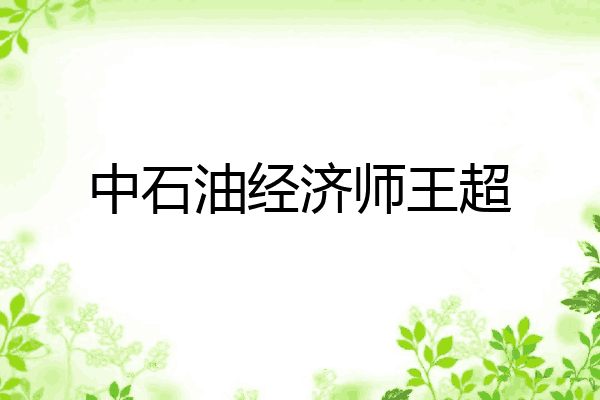 中石油经济师王超