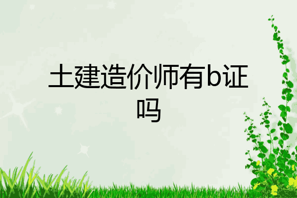 土建造价师有b证吗
