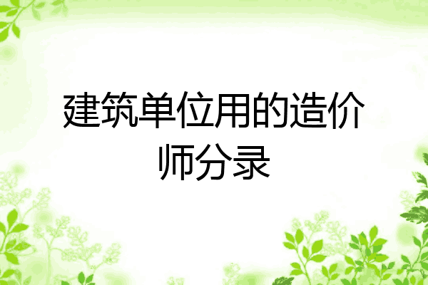 建筑单位用的造价师分录