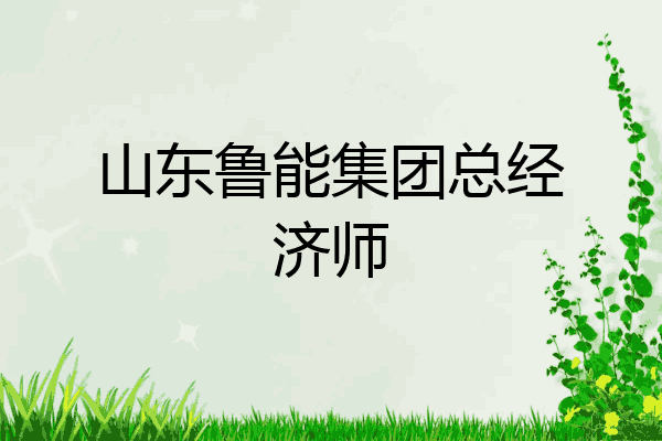 山东鲁能集团总经济师