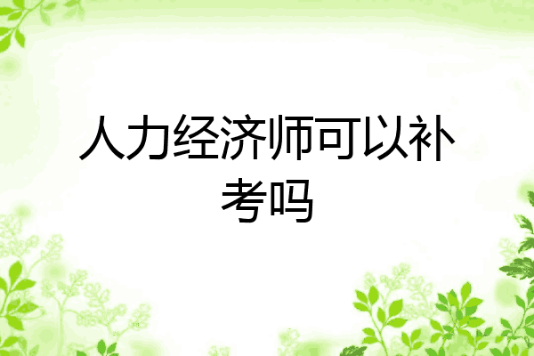 人力经济师可以补考吗