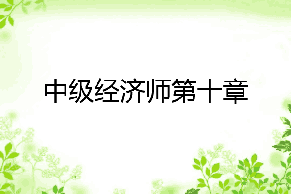 中级经济师第十章