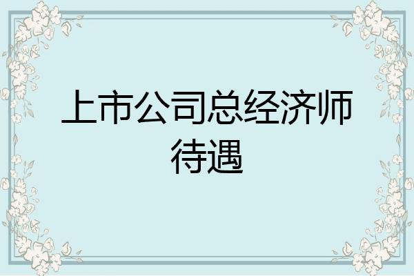 上市公司总经济师待遇