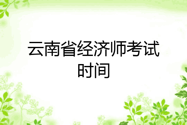 云南省经济师考试时间