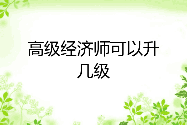 高级经济师可以升几级