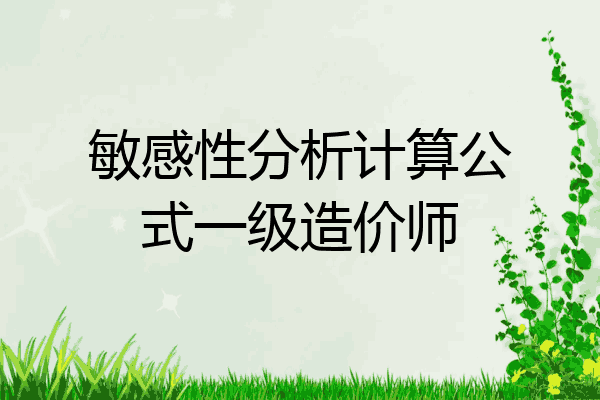 敏感性分析计算公式一级造价师