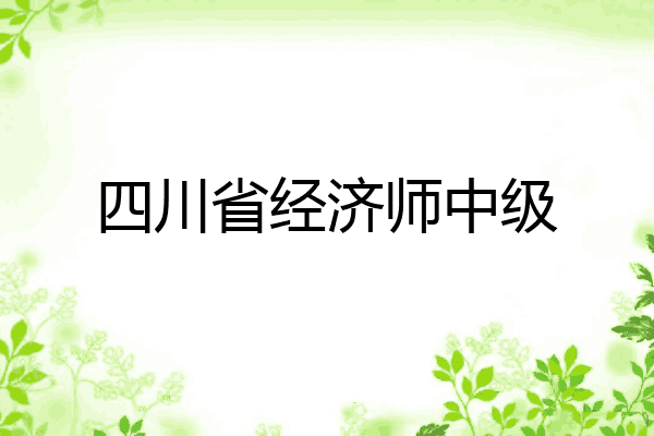 四川省经济师中级