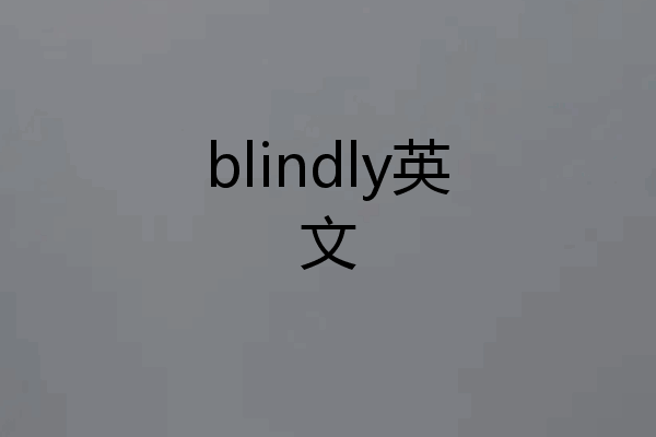 blindly英文