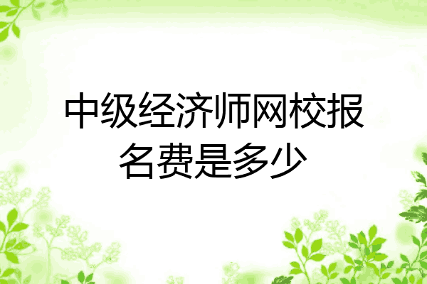 中级经济师网校报名费是多少