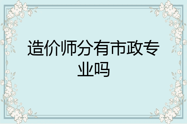 造价师分有市政专业吗