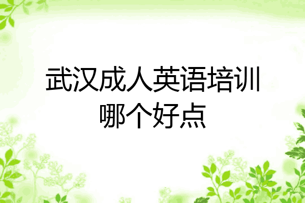 武汉成人英语培训哪个好点