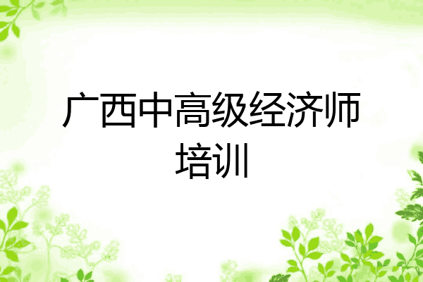 广西中高级经济师培训