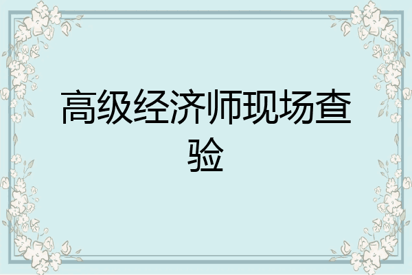 高级经济师现场查验