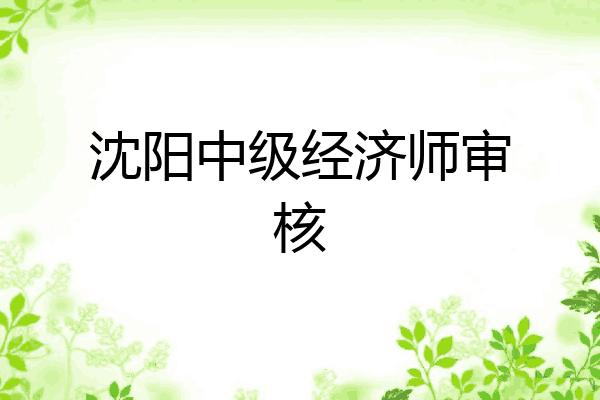 沈阳中级经济师审核