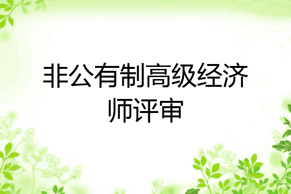 非公有制高级经济师评审