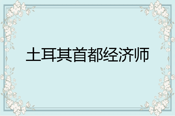 土耳其首都经济师