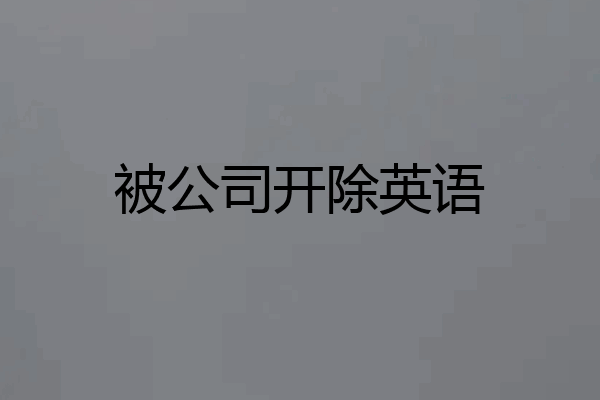 被公司开除英语