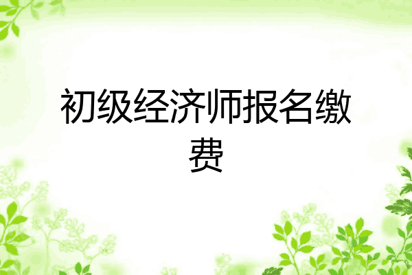 初级经济师报名缴费