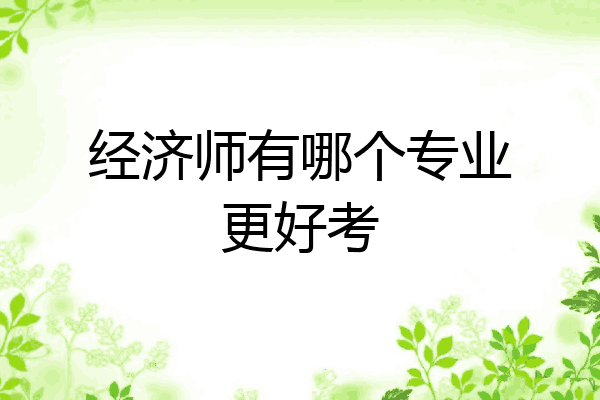 经济师有哪个专业更好考