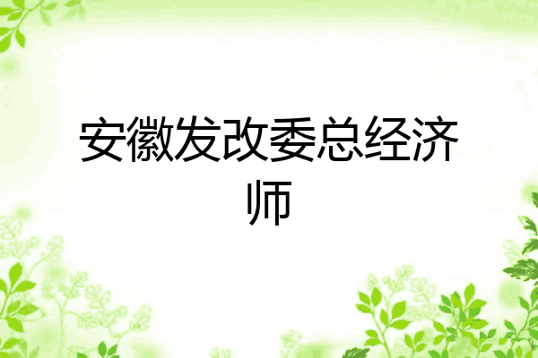 安徽发改委总经济师