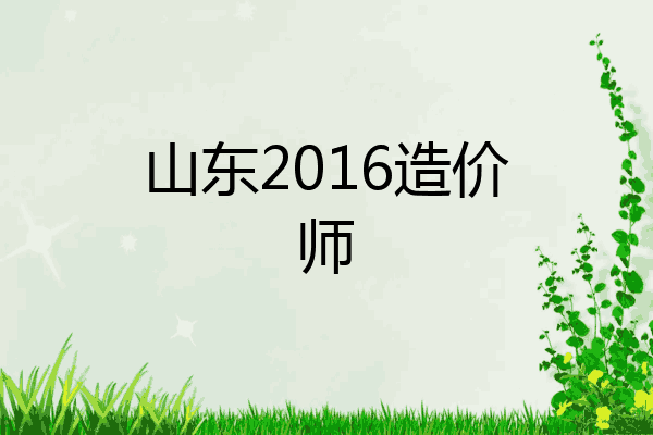 山东2016造价师