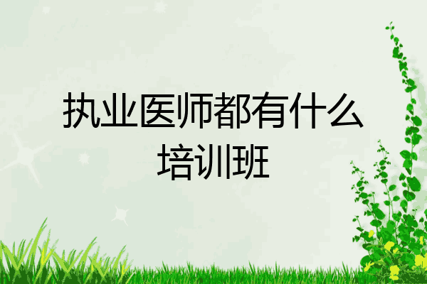 执业医师都有什么培训班