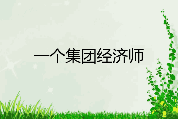 一个集团经济师