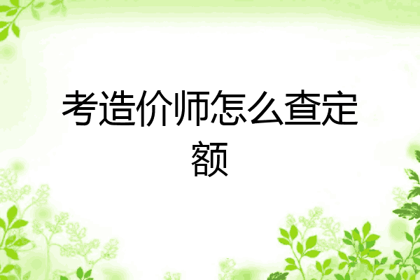 考造价师怎么查定额