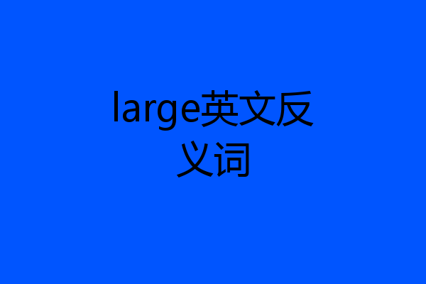 large英文反义词