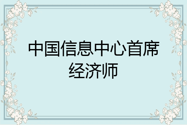 中国信息中心首席经济师