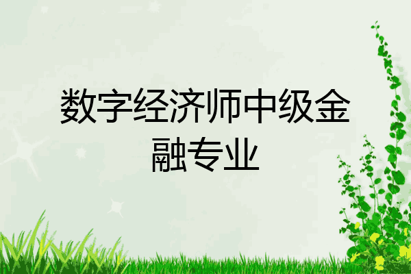 数字经济师中级金融专业