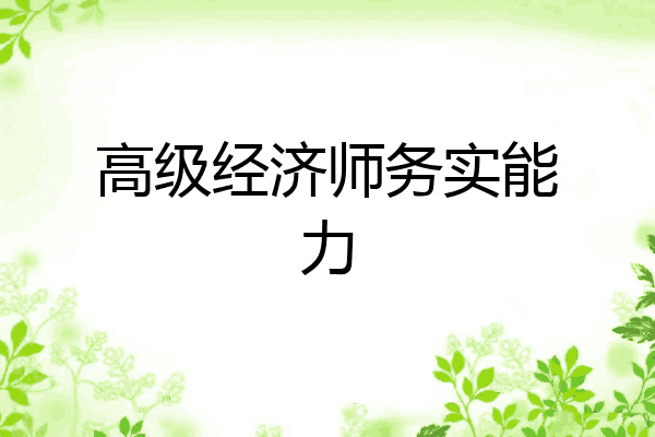 高级经济师务实能力