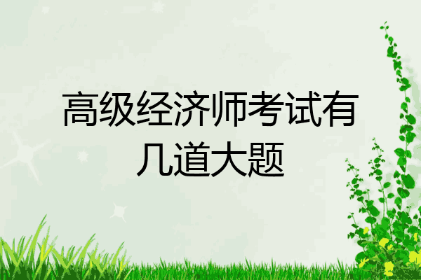 高级经济师考试有几道大题
