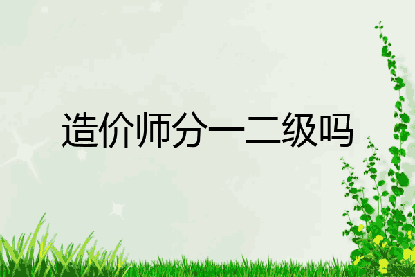 造价师分一二级吗