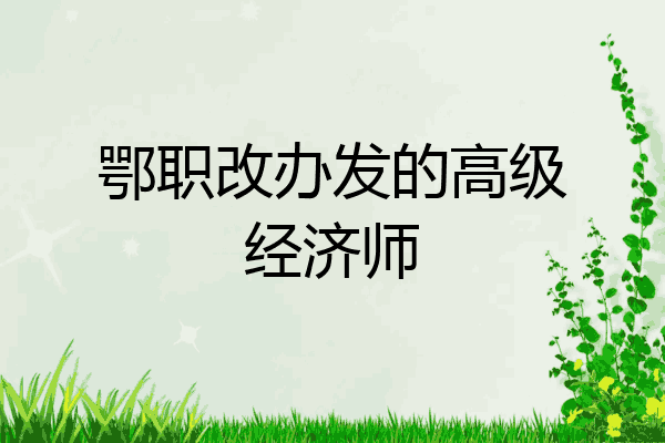 鄂职改办发的高级经济师