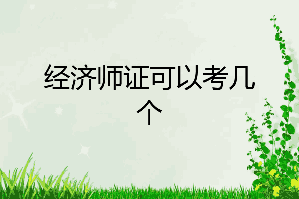 经济师证可以考几个