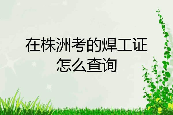 在株洲考的焊工证怎么查询