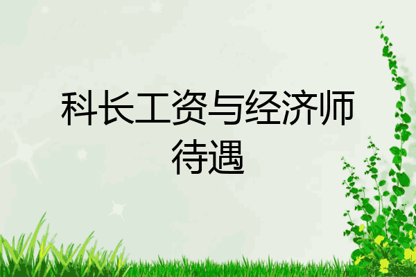 科长工资与经济师待遇