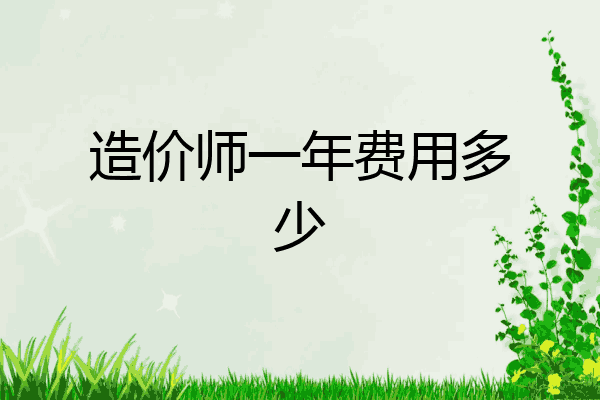造价师一年费用多少