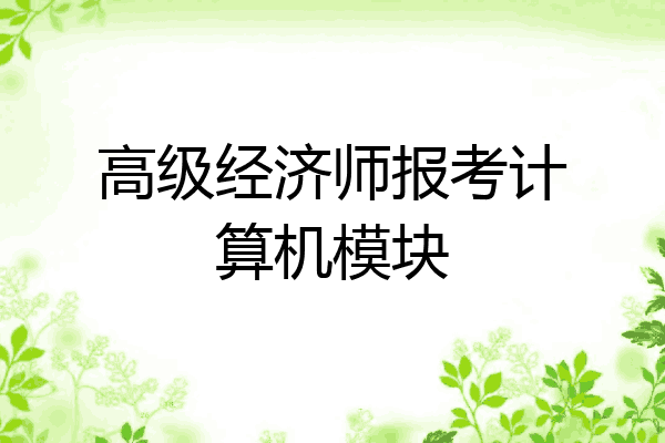 高级经济师报考计算机模块