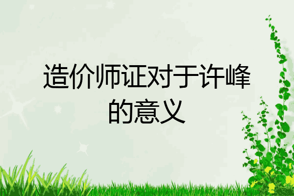 造价师证对于许峰的意义