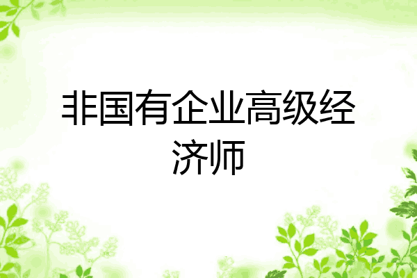 非国有企业高级经济师