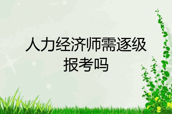 人力经济师需逐级报考吗