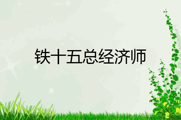 铁十五总经济师