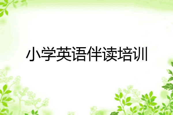 小学英语伴读培训