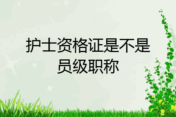 护士资格证是不是员级职称