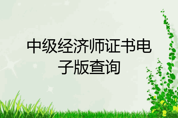 中级经济师证书电子版查询